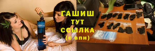 Альфа ПВП Горняк