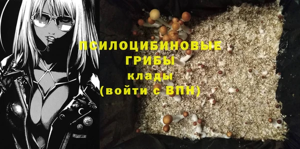 Альфа ПВП Горняк