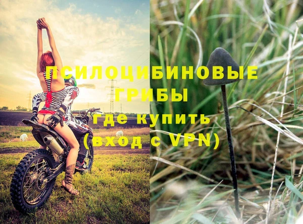 Альфа ПВП Горняк