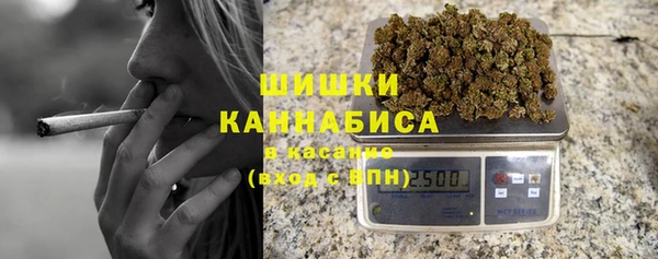Альфа ПВП Горняк