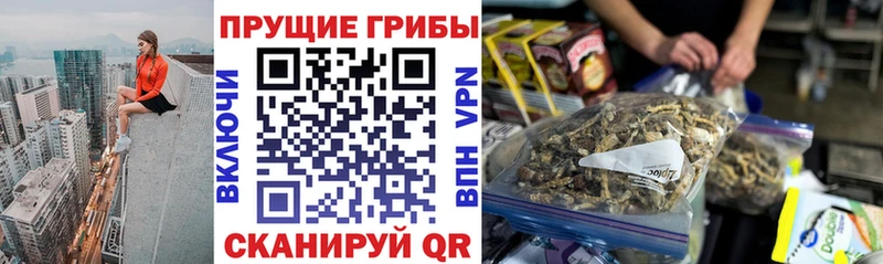 Псилоцибиновые грибы прущие грибы  Печоры 